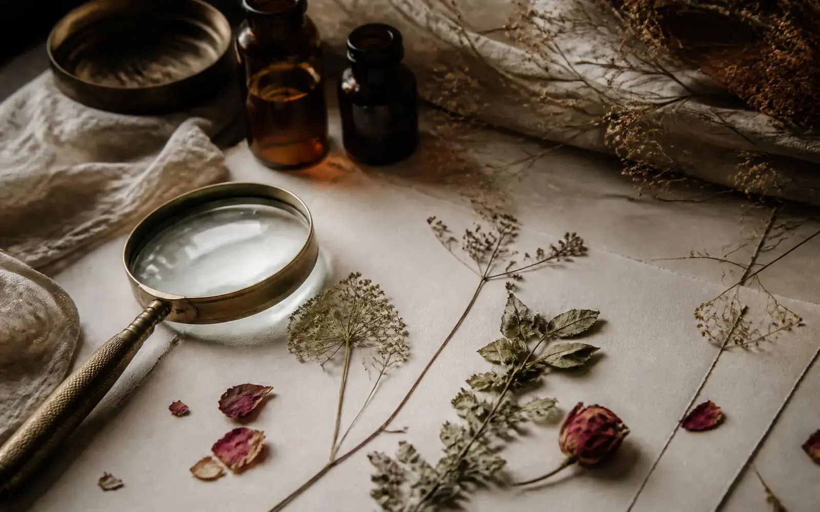 Pressed botanicals, amber apothecary bottles and a brass magnifying glass on handmade paper